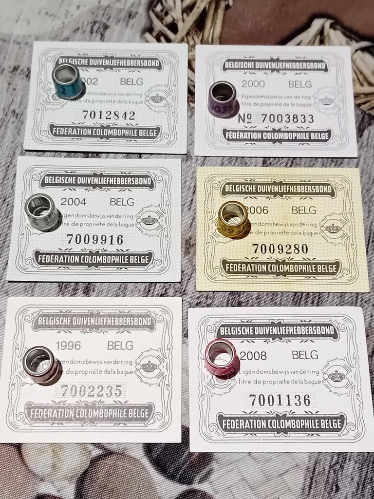 Duivenringen Duif Duivenring duivenringen