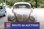 Volkswagen Beetle | 1954 | Route 66 Auctions, Auto's, Volkswagen, Zwart, Bedrijf, Handgeschakeld