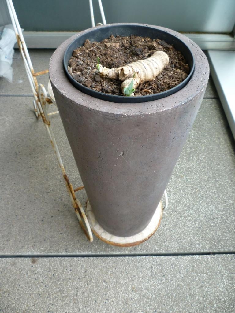 Pot de fleur en résine, Jardin & Terrasse, Pots de fleurs, Enlèvement, Comme neuf, Balcon