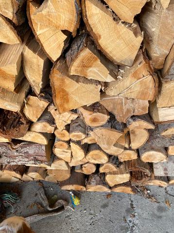 Mooi brandhout  beschikbaar voor biedingen