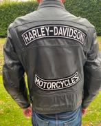 Harley motorjas op maat, DAINESE, Heren, Jas | leer, Ophalen of Verzenden