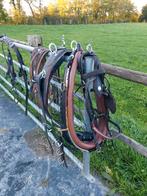 harnais, Dieren en Toebehoren, Paarden en Pony's | Hoofdstellen en Tuigage, Ophalen, Zo goed als nieuw