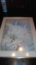 2 kaders met prent van vogels, Envoi, Comme neuf, Animal, Gravure