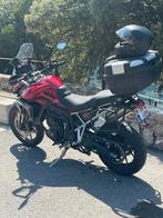 Triumph Tiger 900 gt pro, Motoren, Motoren | Triumph, Motorrijbewijs A, Particulier, Meer dan 35 kW, 900 cc
