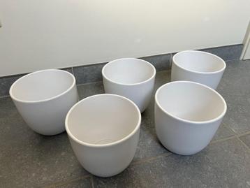 5 stuks keramieken bloempot mat wit, diameter 17cm beschikbaar voor biedingen