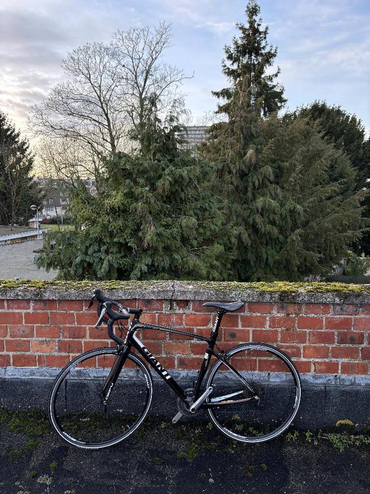 Koersfiets maat M, Fietsen en Brommers, Fietsen | Racefietsen, Gebruikt, Heren, Giant, Carbon, Ophalen