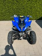 Yamaha raptor 250 cc année 2012, 1 cylindre