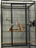 Grande cage perroquet a VENDRE, Ophalen, Zo goed als nieuw