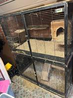 Chinchilla kooi Savic Suite Royal XL, Ophalen, Kooi, Chinchilla