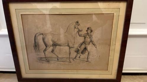 Lithographie gravure ancienne encre noire cheval à la main, Antiek en Kunst, Kunst | Litho's en Zeefdrukken, Ophalen