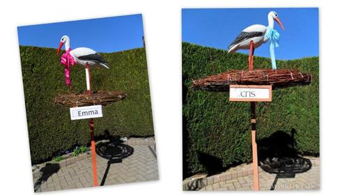 Mooi Geboortebord / geboorteborden of ooievaar met nest, Kinderen en Baby's, Kraamcadeaus en Geboorteborden, Nieuw, Geboortebord