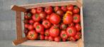 Tomaten, Zakelijke goederen, Landbouw | Aardappelen, Groenten, Fruit en Vlees, Ophalen