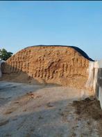 Kuilmais te koop 12 ha in silo kan geladen worden, Dieren en Toebehoren, Ophalen