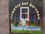 Cymbals eat guitars why there are mountains, Ophalen of Verzenden, Zo goed als nieuw