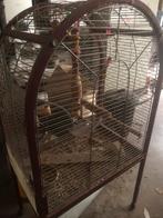 Papegaai kooi, Dieren en Toebehoren, Vogels | Hokken en Kooien, Ophalen, Gebruikt, Metaal