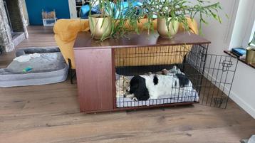 Walnootkleurig hondenkooimeubel als nieuw groot model beschikbaar voor biedingen
