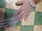 fijne kanten witte handschoentjes van trouwdag, Ophalen of Verzenden, Zo goed als nieuw