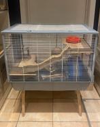 Leuke hamsterkooi op pootjes met extra toebehoren, Dieren en Toebehoren, Ophalen