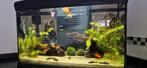 Ferplast 60 liter aquarium, Comme neuf, Enlèvement