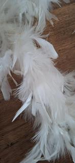 Verenboa's, Enlèvement ou Envoi, Utilisé