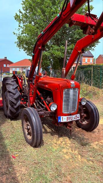 Massey ferguson 3 cil  met papieren, frontlader klepelmaaier, Enlèvement, Oldtimer/Ancêtre, Jusqu'à 80 ch, Massey Ferguson
