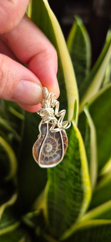 Ammoniet hanger zilverdraad edelstenen sieraden juwelen beschikbaar voor biedingen