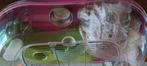 2 hamster of muizen kooien met toebehoren, Ophalen