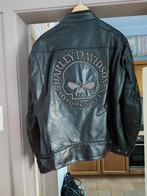 veste moto, Motos, Seconde main, Manteau | cuir, Enlèvement, Autre