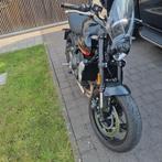 Triumph Trident 660, Particulier, Quickshifter