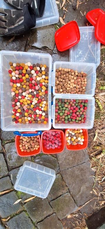 Boilies beschikbaar voor biedingen