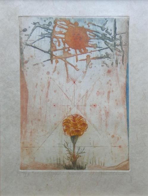 RENE CARCAN / APPEL D'AMITIE / KLEURETS / 59x40cm KADER SIG, Antiek en Kunst, Kunst | Litho's en Zeefdrukken, Ophalen of Verzenden