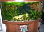 Volledig aquarium met onderkast, Dieren en Toebehoren, Ophalen, Gebruikt