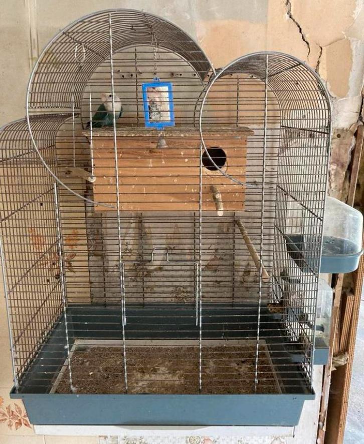 Vogelkooi met toebehorenen en zand., Dieren en Toebehoren, Vogels | Hokken en Kooien, Zo goed als nieuw, Vogelkooi, Ophalen
