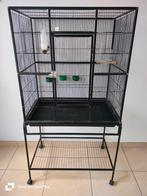 Grande cage, Enlèvement ou Envoi