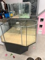 Reptiel / knaagdieren verblijf!, Dieren en Toebehoren, Ophalen, 90 cm of meer, Hok, Hamster