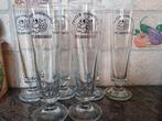 Eylenbosch  Frater Ambrosius nog 5x, Verzamelen, Biermerken, Ophalen of Verzenden, Zo goed als nieuw