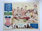 How to stuff a wild bikini - Original lobby card 1965, Gebruikt, Rechthoekig Liggend, Ophalen of Verzenden, A1 t/m A3