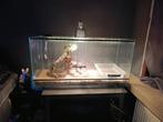 Terrarium 1mx50x50 moet dringend weg !, Ophalen, Zo goed als nieuw