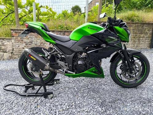 Kawasaki Z 300 ABS-prestatiepakket 2017, Motoren, Motoren | Kawasaki, Particulier, Naked bike, 12 t/m 35 kW, 2 cilinders, Ophalen