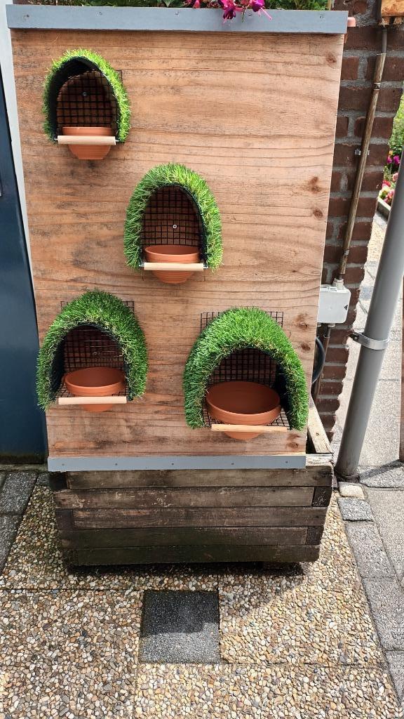 nestkasten, Dieren en Toebehoren, Vogels | Toebehoren, Nieuw, Ophalen of Verzenden