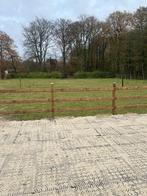 Wei te huur voor 2 pony’s Borsbeek, Dieren en Toebehoren, Stalling en Weidegang, Weidegang, 1 paard of pony