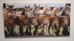 Grand tableau (120cm) avec toile chevaux - Décoration murale, Enlèvement, Utilisé