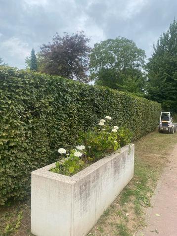 Oud ijzer / allround service lees advertentie beschikbaar voor biedingen