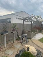 28 lopende meter bamboe omheining, Ophalen, Zo goed als nieuw