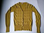 Gilet uit de Flair Collectie, Flair, Geel, Ophalen of Verzenden, Maat 36 (S)