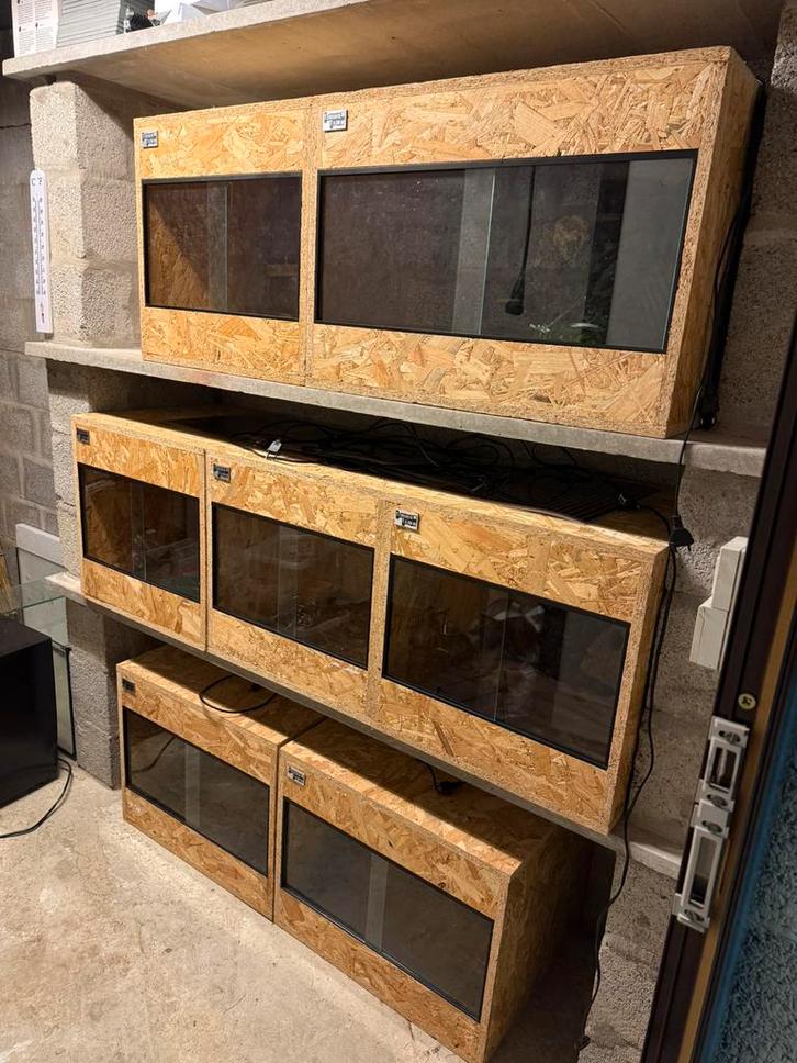 Terrariums, Dieren en Toebehoren, Reptielen en Amfibieën | Toebehoren, Zo goed als nieuw, Ophalen