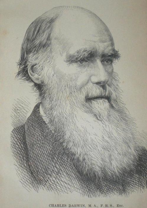 Charles Darwin ~ Journal of researches ~ 1871 ~ D. Appleton, Antiek en Kunst, Antiek | Boeken en Manuscripten, Ophalen of Verzenden