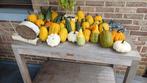 Sierfruit, Tuin en Terras, Bloembollen en Zaden, Ophalen