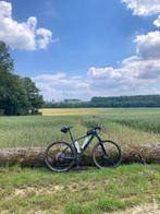 VTT Cube Reaction C:62 Race 2024, Fietsen en Brommers, Fietsen | Mountainbikes en ATB, Hardtail, Heren, Zo goed als nieuw, Ophalen