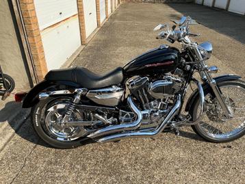 Harley davidson xl 1200 c beschikbaar voor biedingen